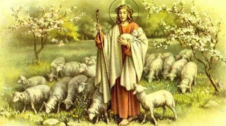 4ème dimanche de Pâques – C : Mes brebis écoutent ma voix.