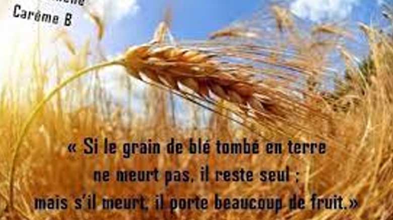 5ème dimanche de carême – B :  Qui aime sa vie la perd