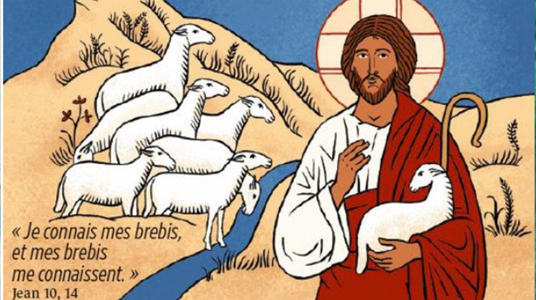 4ème Dimanche de Pâques:  Jésus, le bon pasteur, le vrai berger !