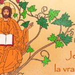 5ème dimanche de Pâques – B : Moi, je suis la vigne, et vous les sarments