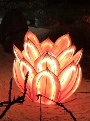 Sortie de fin d&rsquo;année avec la Croisée des chemins: retour sur cette belle soirée de partage avec le témoignage de Fatou