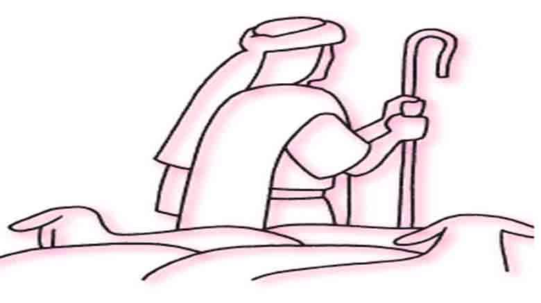 4ème dimanche de Pâques 2026 – A : Je suis la porte des brebis