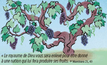 27ème dimanche du T. O. : – A